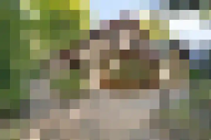 Eperweg 33 Nunspeet thumbnail 12