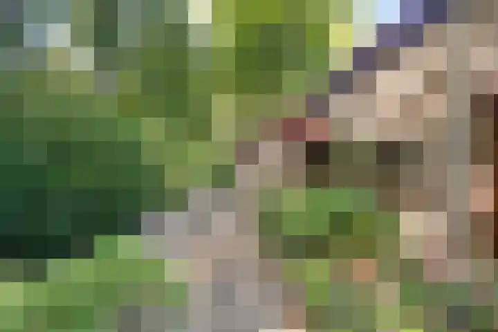 Eperweg 33 Nunspeet thumbnail 13