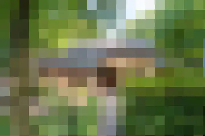 Eperweg 33 Nunspeet thumbnail 14