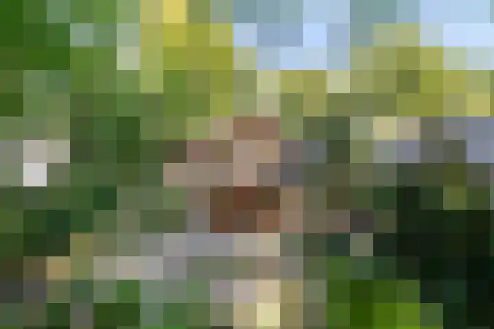 Eperweg 33 Nunspeet thumbnail 4