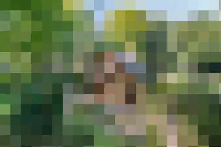 Eperweg 33 Nunspeet thumbnail 5