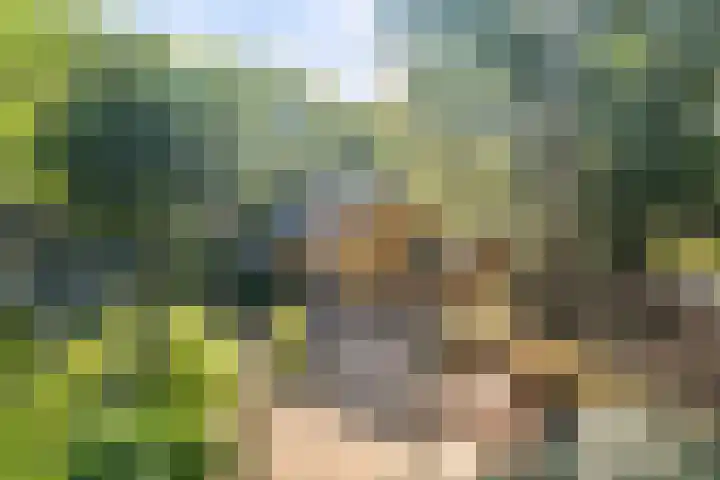 Eperweg 33 Nunspeet thumbnail 50