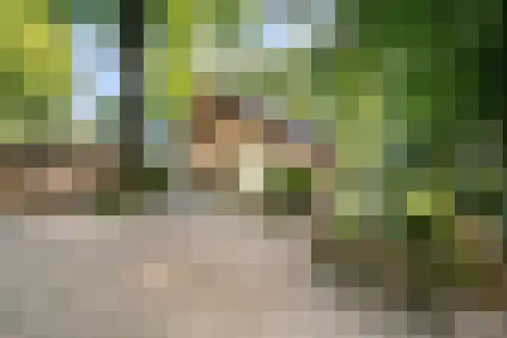 Eperweg 33 Nunspeet thumbnail 51