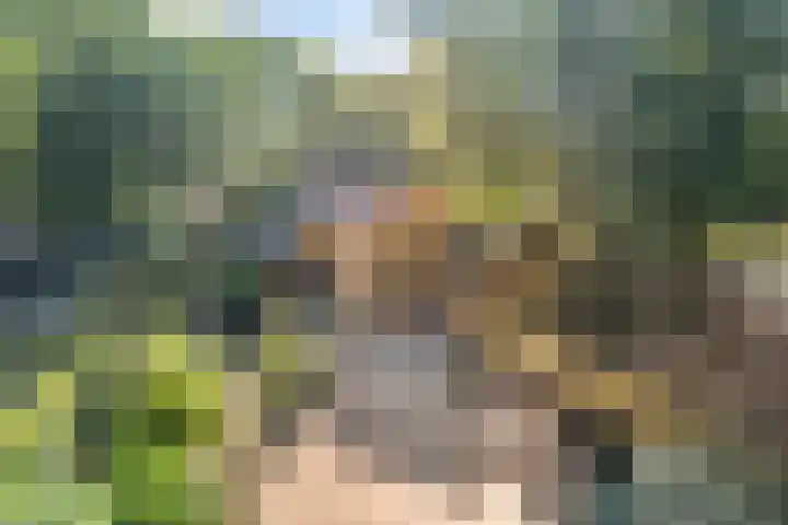 Eperweg 33 Nunspeet thumbnail 53