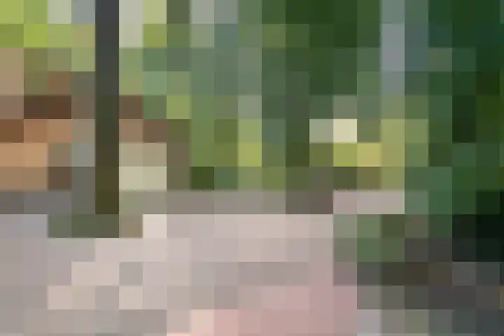 Eperweg 33 Nunspeet thumbnail 54