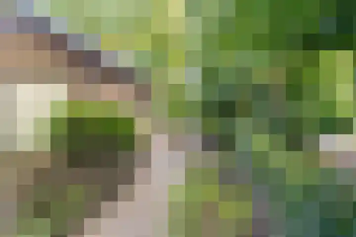 Eperweg 33 Nunspeet thumbnail 55