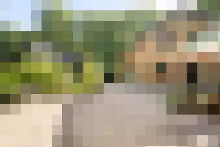 Eperweg 33 Nunspeet thumbnail 56