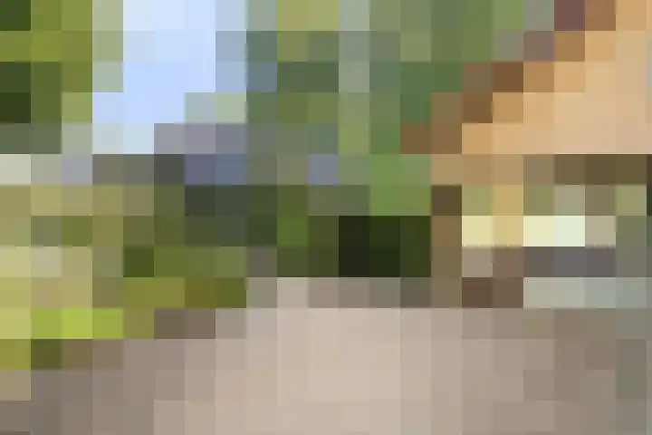 Eperweg 33 Nunspeet thumbnail 58