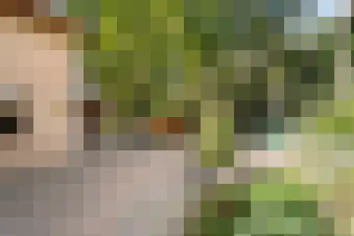Eperweg 33 Nunspeet thumbnail 59