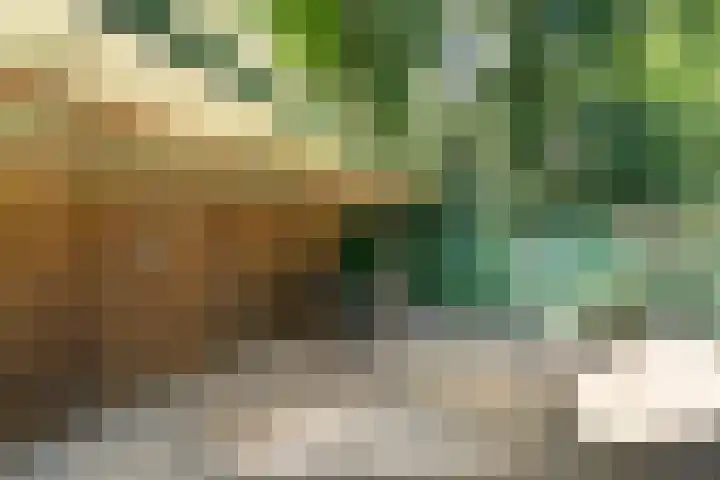 Eperweg 33 Nunspeet thumbnail 61