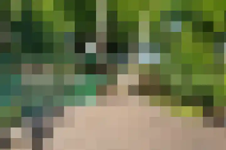 Eperweg 33 Nunspeet thumbnail 62