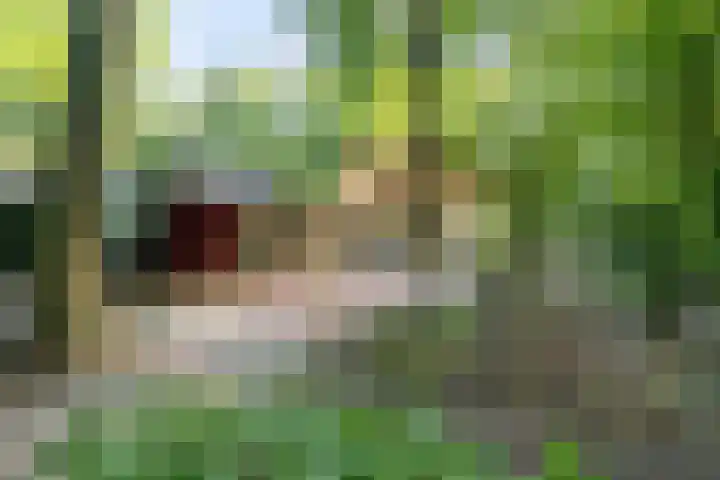 Eperweg 33 Nunspeet thumbnail 63