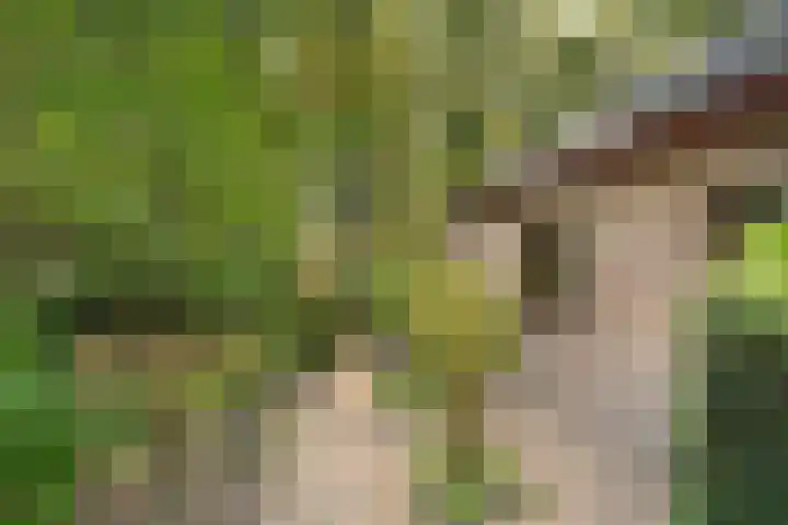 Eperweg 33 Nunspeet thumbnail 9