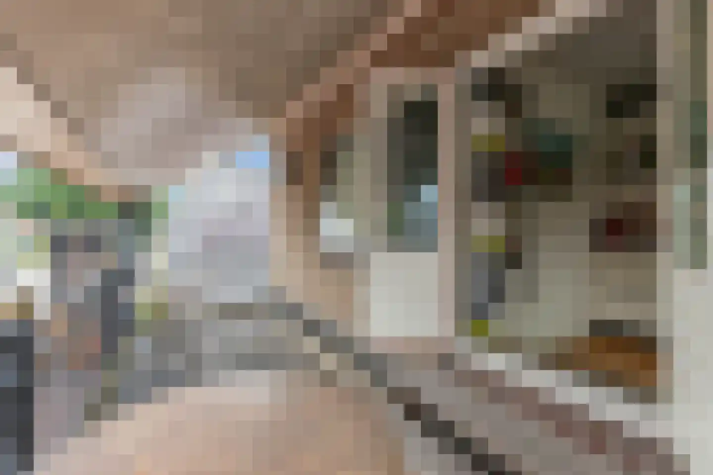 Eperweg 47 B 't Harde thumbnail 104