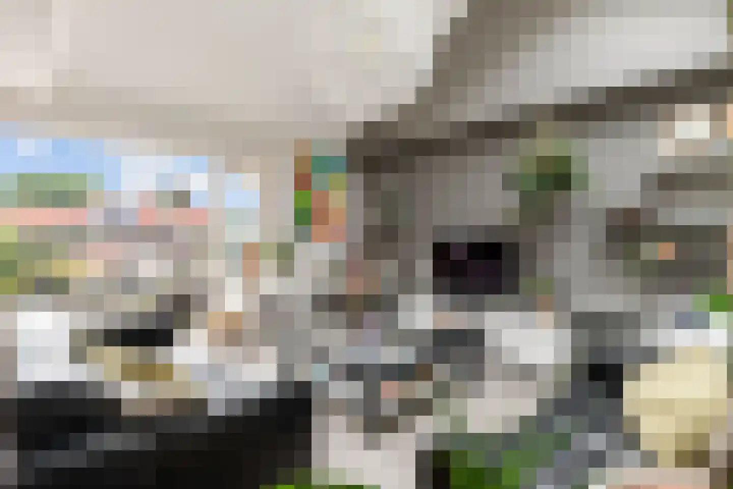 Eperweg 47 B 't Harde thumbnail 68