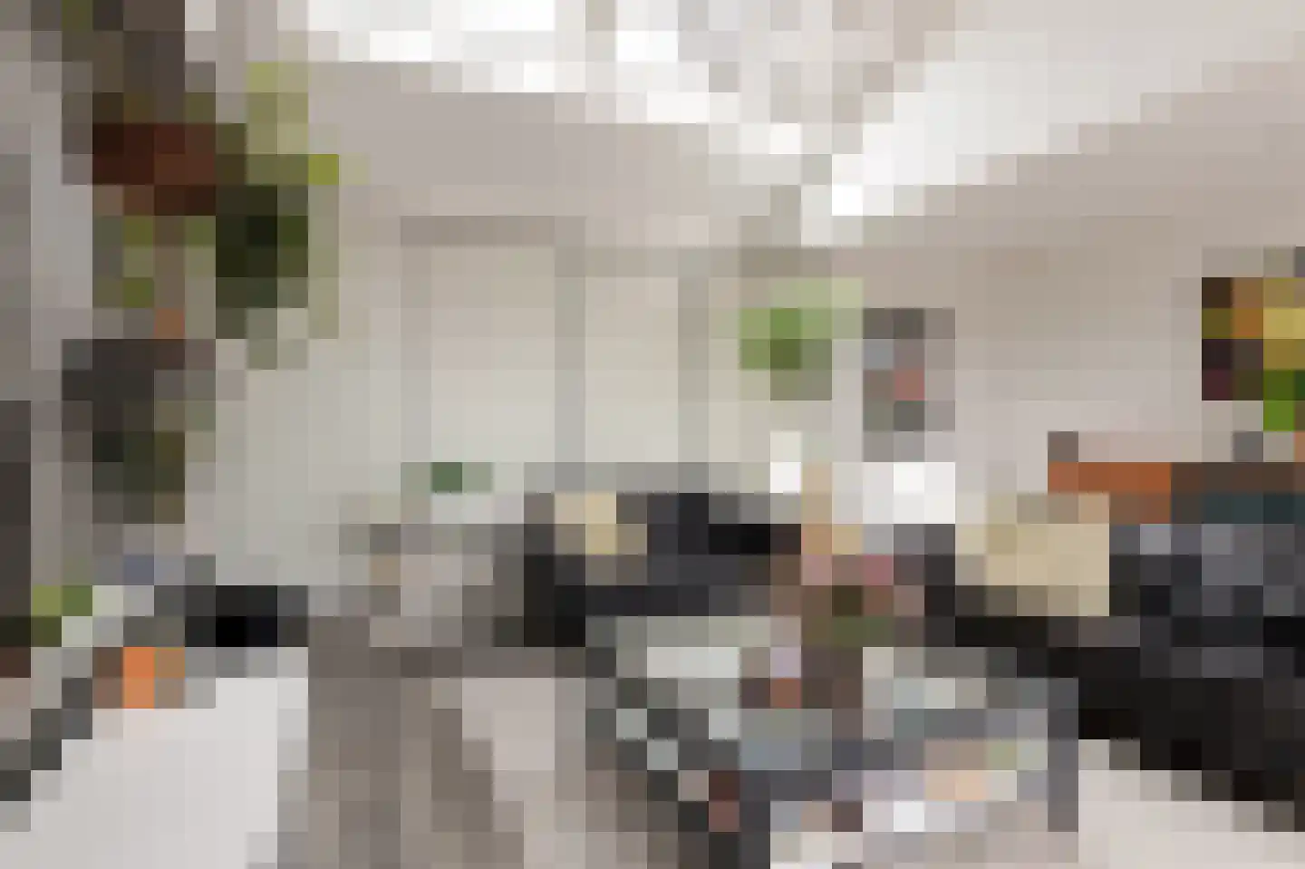 Eperweg 47 B 't Harde thumbnail 71