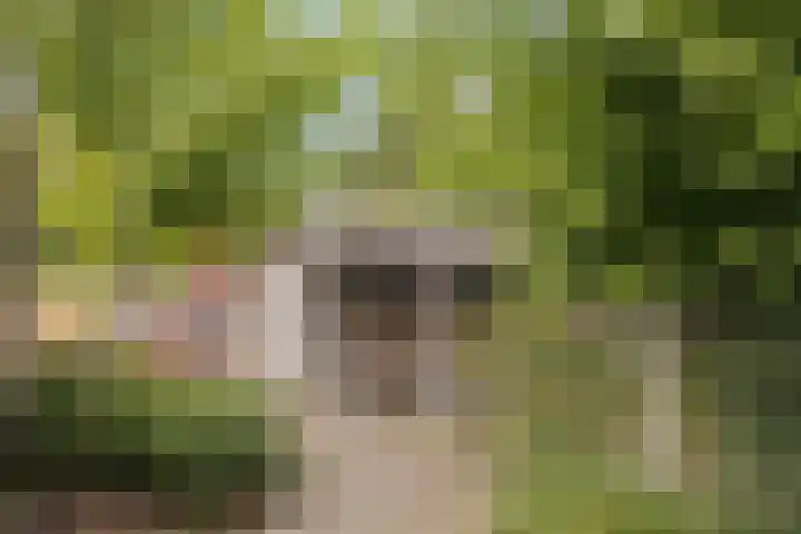 Eperweg 48 Oene thumbnail 37