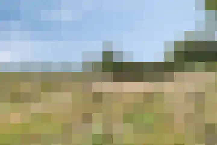 Eperweg 48 Oene thumbnail 38