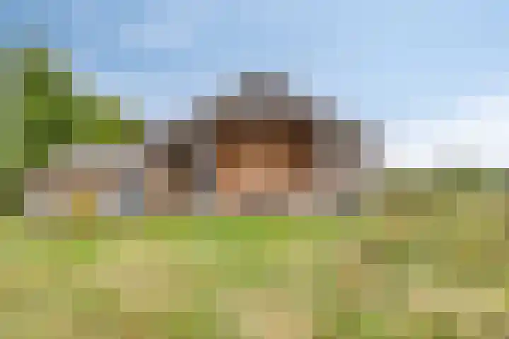 Eperweg 48 Oene thumbnail 40