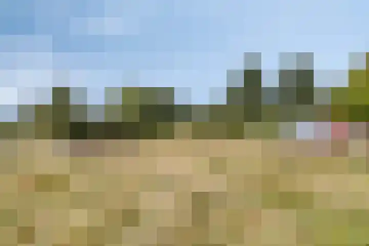 Eperweg 48 Oene thumbnail 42
