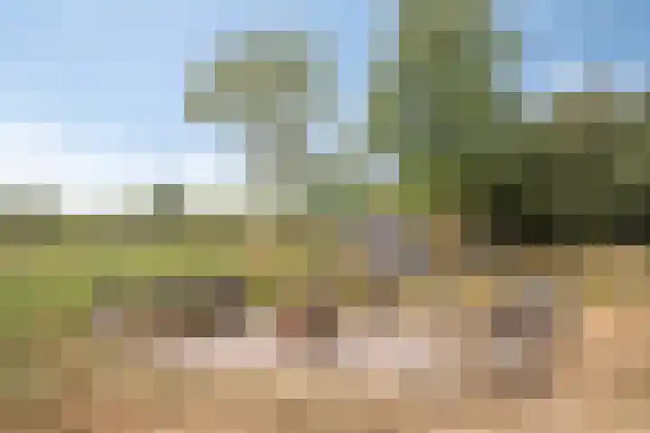 Eperweg 48 Oene thumbnail 43
