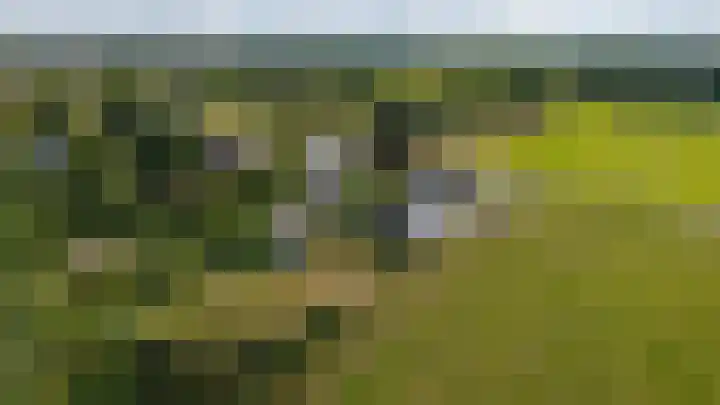 Eperweg 48 Oene thumbnail 45
