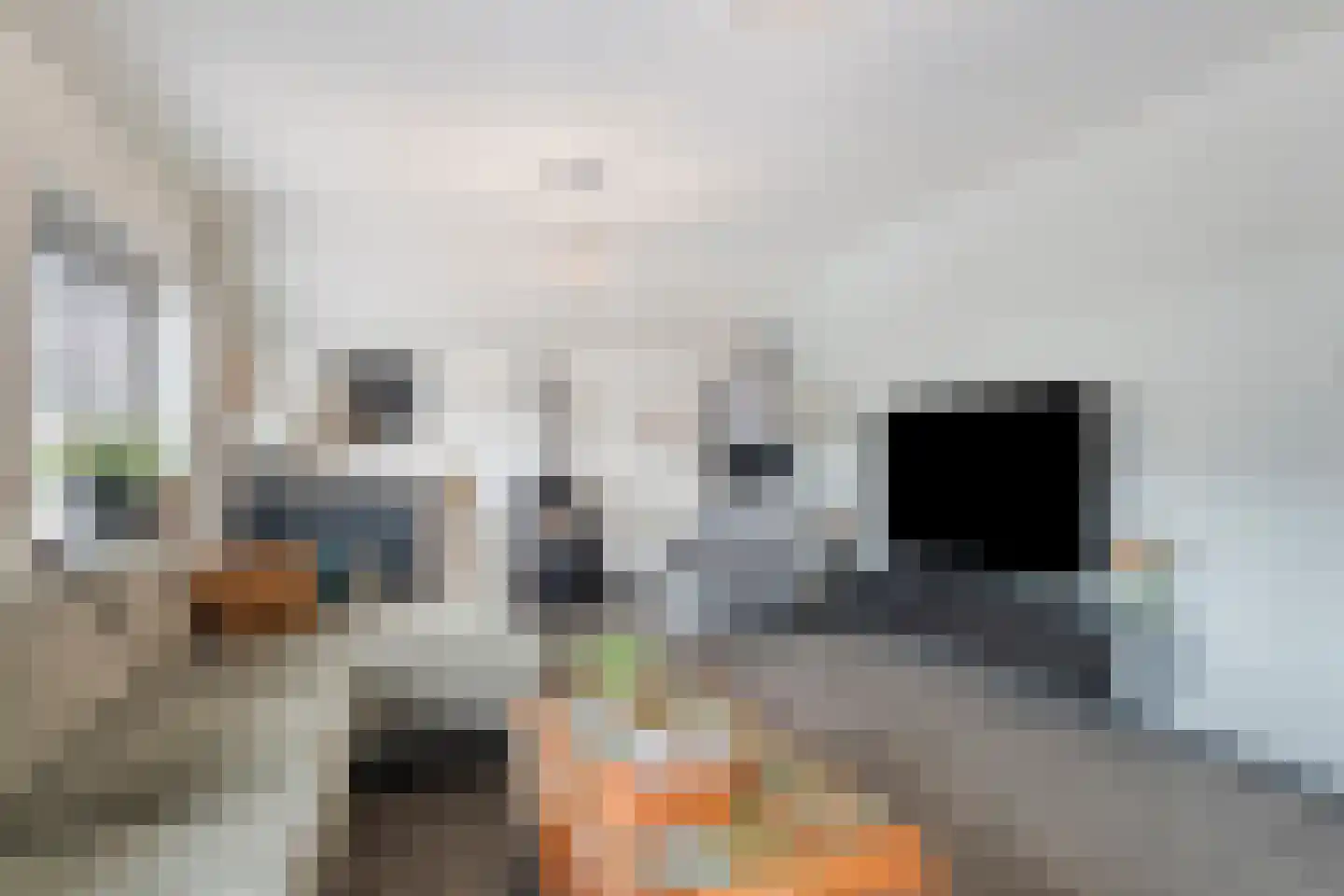 Eperweg 49 't Harde thumbnail 10