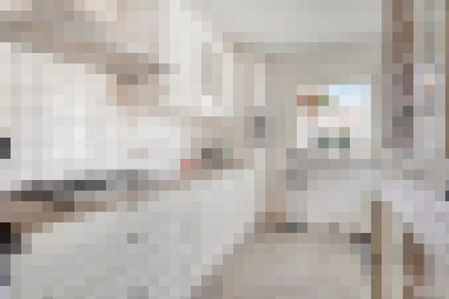 Eperweg 49 't Harde thumbnail 20