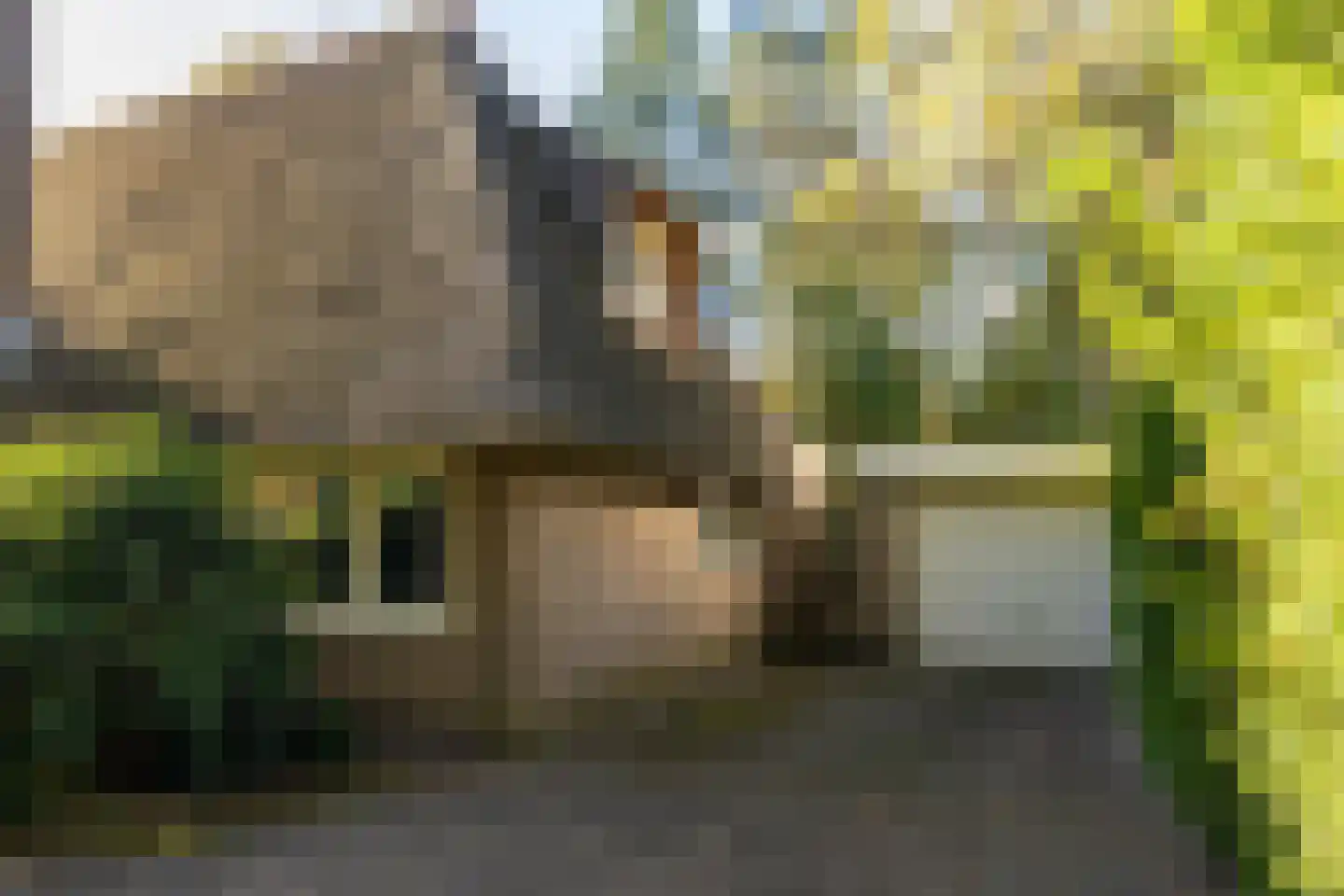 Eperweg 84 't Harde thumbnail 10