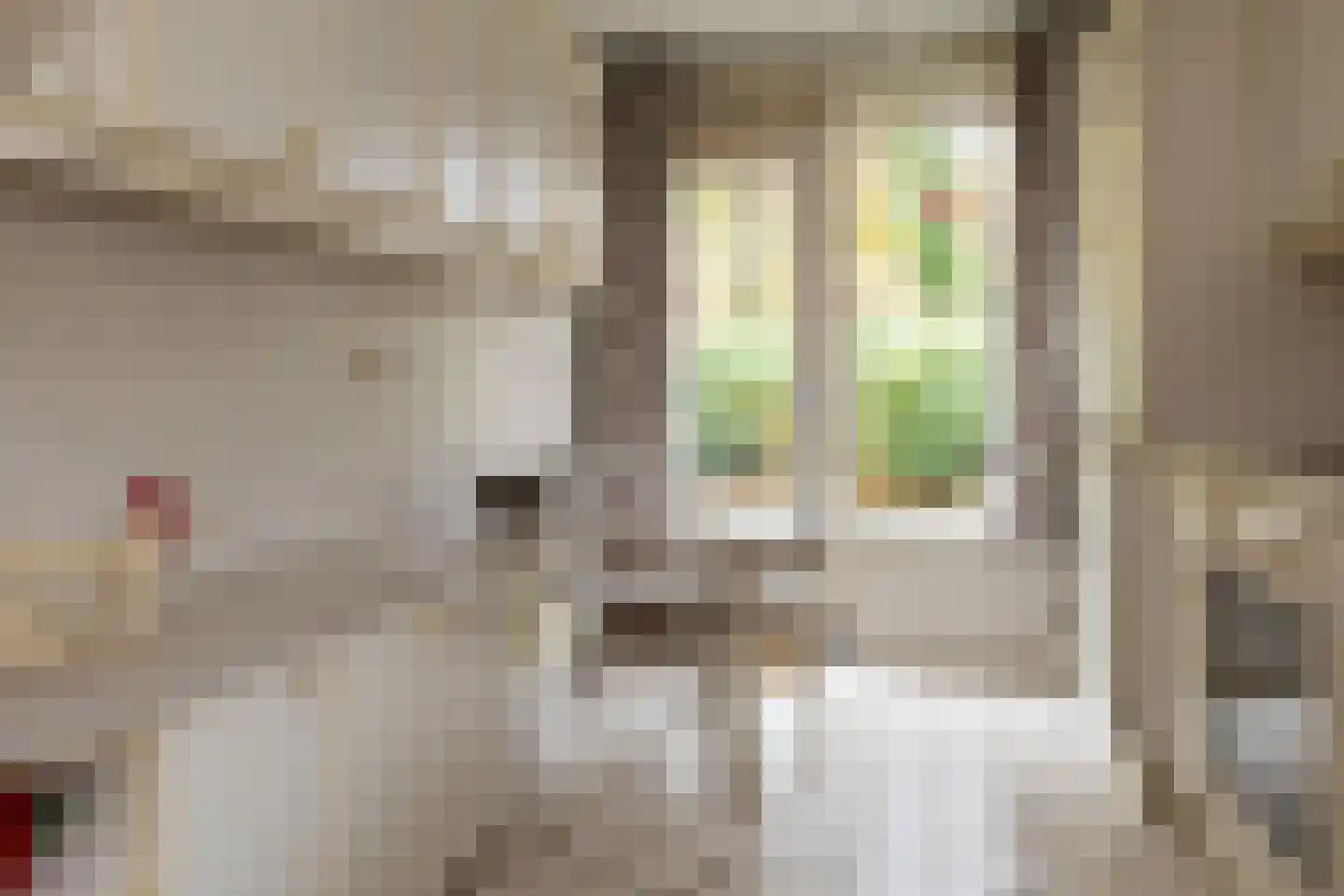 Eperweg 84 't Harde thumbnail 24