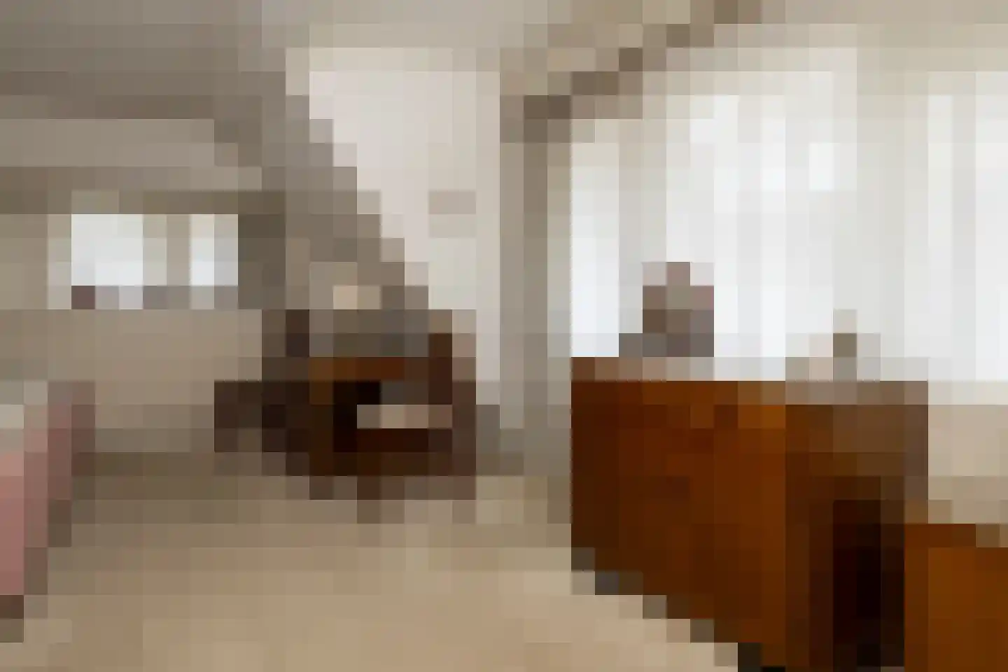 Eperweg 84 't Harde thumbnail 34