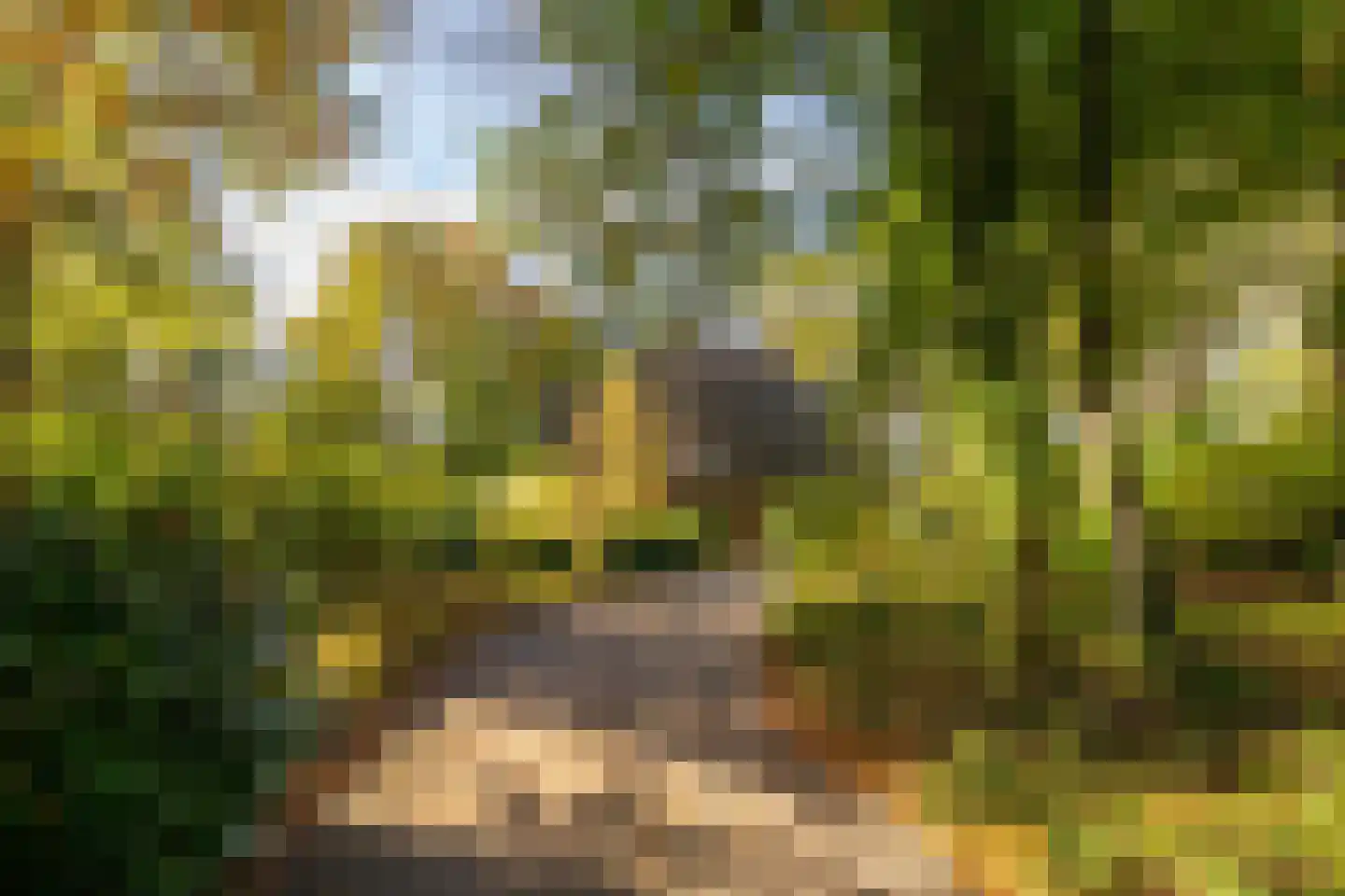 Eperweg 84 't Harde thumbnail 42