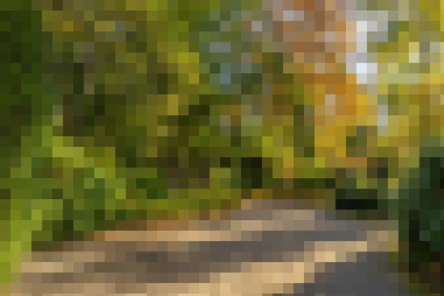 Eperweg 84 't Harde thumbnail 43