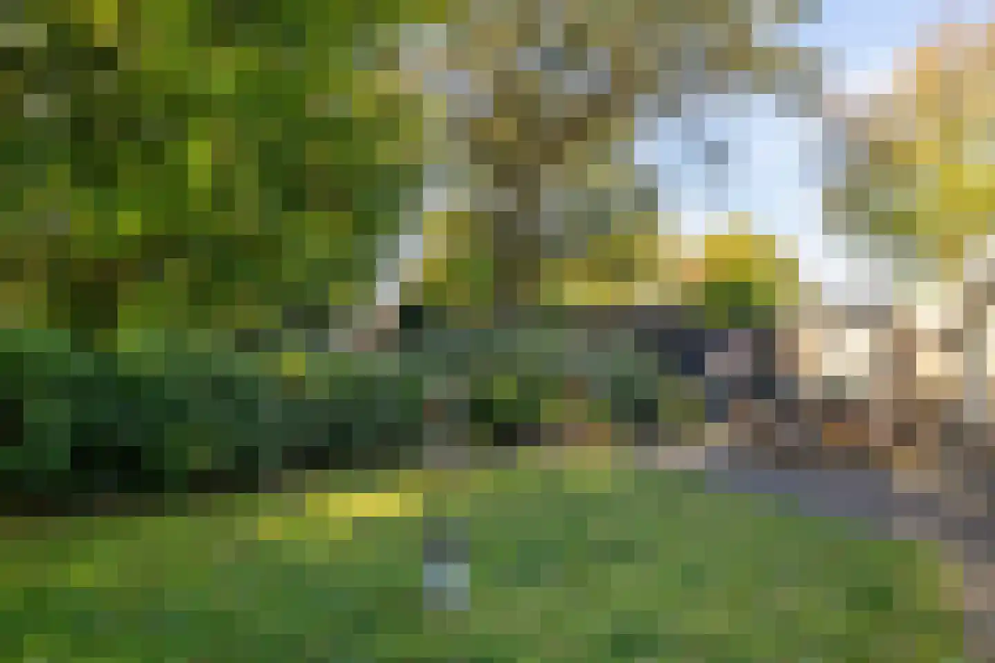 Eperweg 84 't Harde thumbnail 44