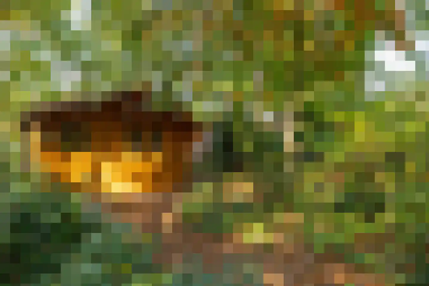Eperweg 84 't Harde thumbnail 45