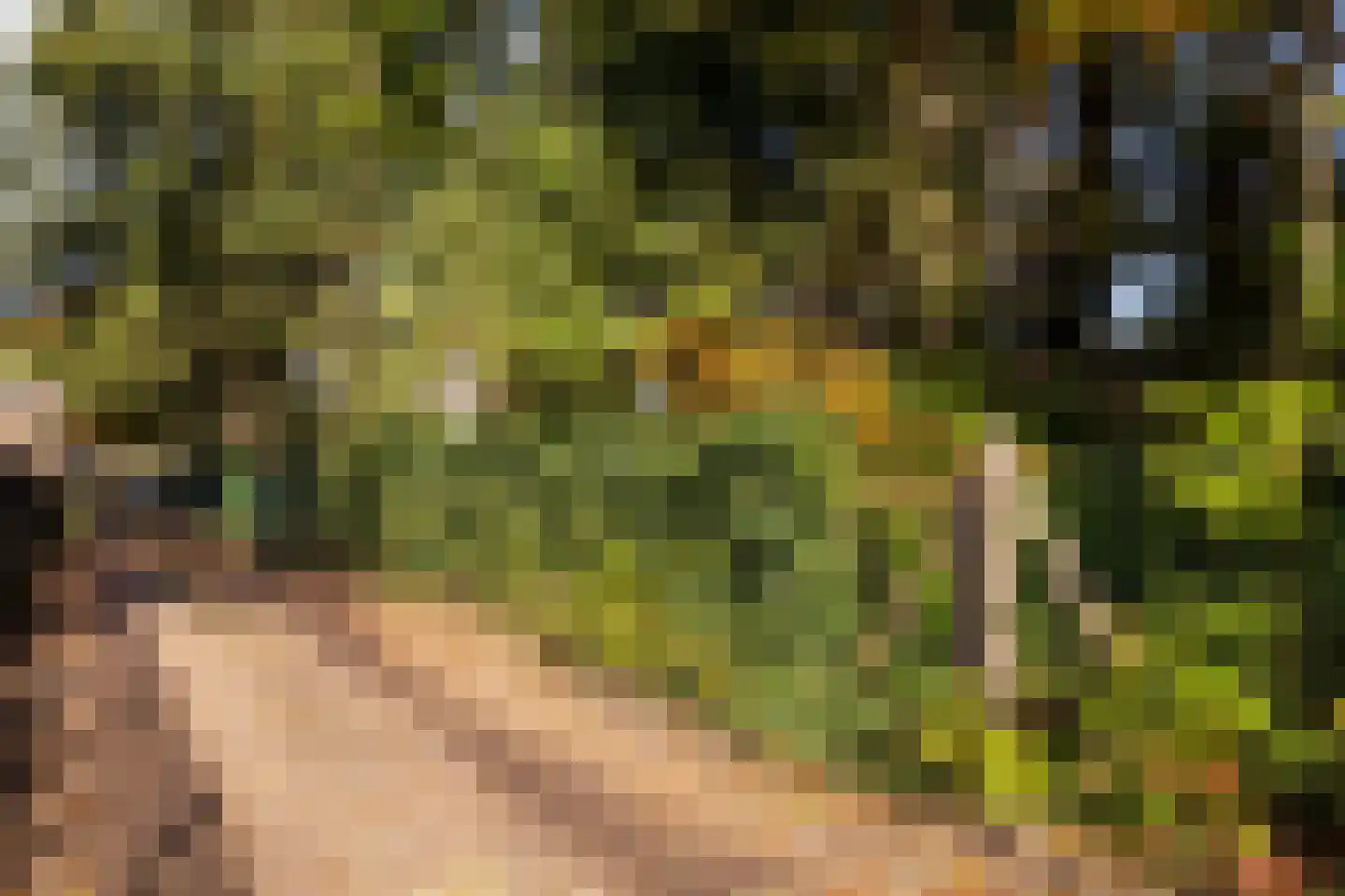 Eperweg 84 't Harde thumbnail 46