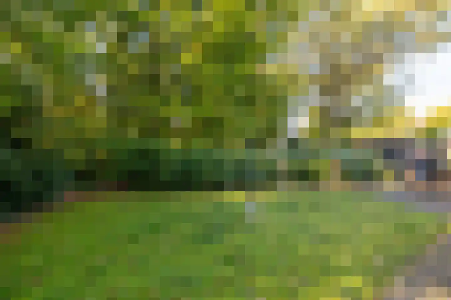 Eperweg 84 't Harde thumbnail 5