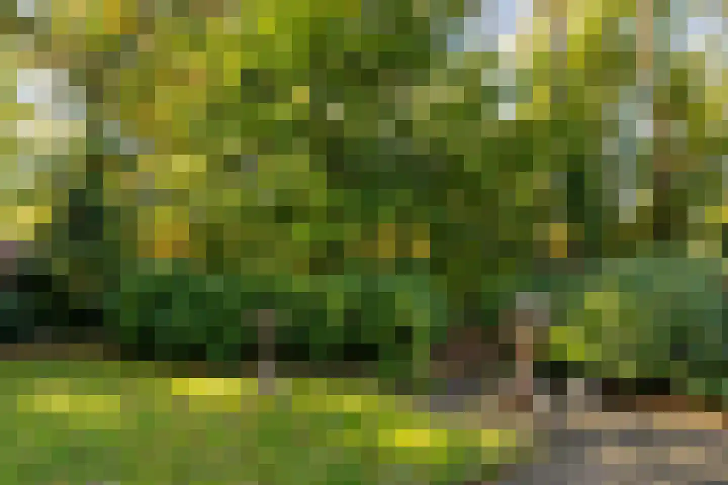 Eperweg 84 't Harde thumbnail 6