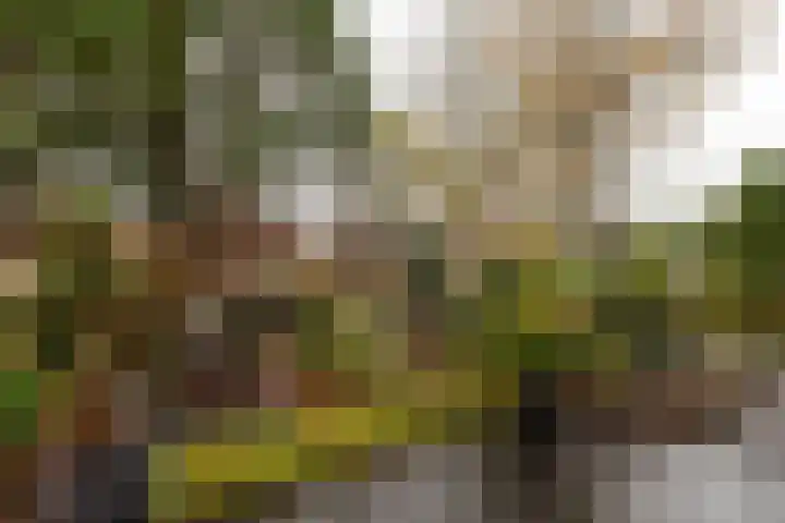 Eperweg 9 Nunspeet thumbnail 10