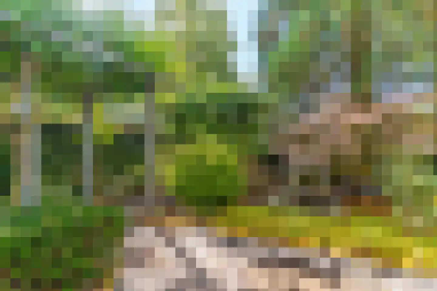 Eperweg 9 Nunspeet thumbnail 10