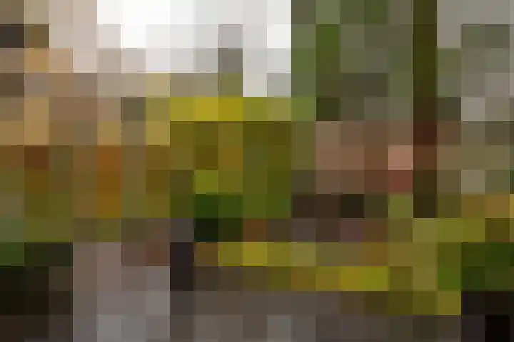 Eperweg 9 Nunspeet thumbnail 11