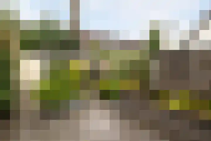 Eperweg 9 Nunspeet thumbnail 12