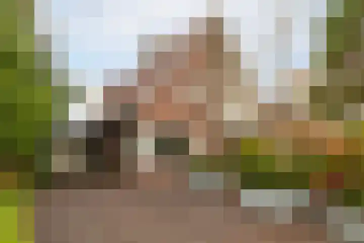 Eperweg 9 Nunspeet thumbnail 13