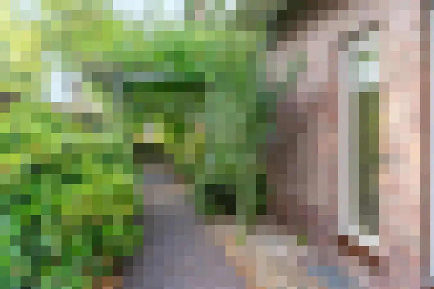 Eperweg 9 Nunspeet thumbnail 13