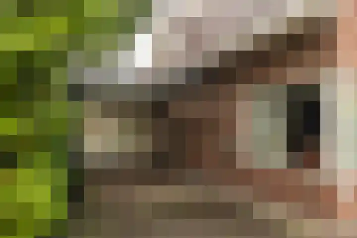 Eperweg 9 Nunspeet thumbnail 14