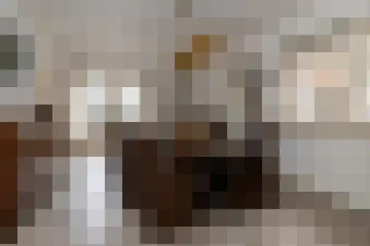 Eperweg 9 Nunspeet thumbnail 23