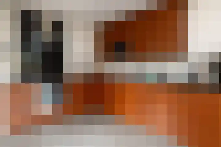 Eperweg 9 Nunspeet thumbnail 25