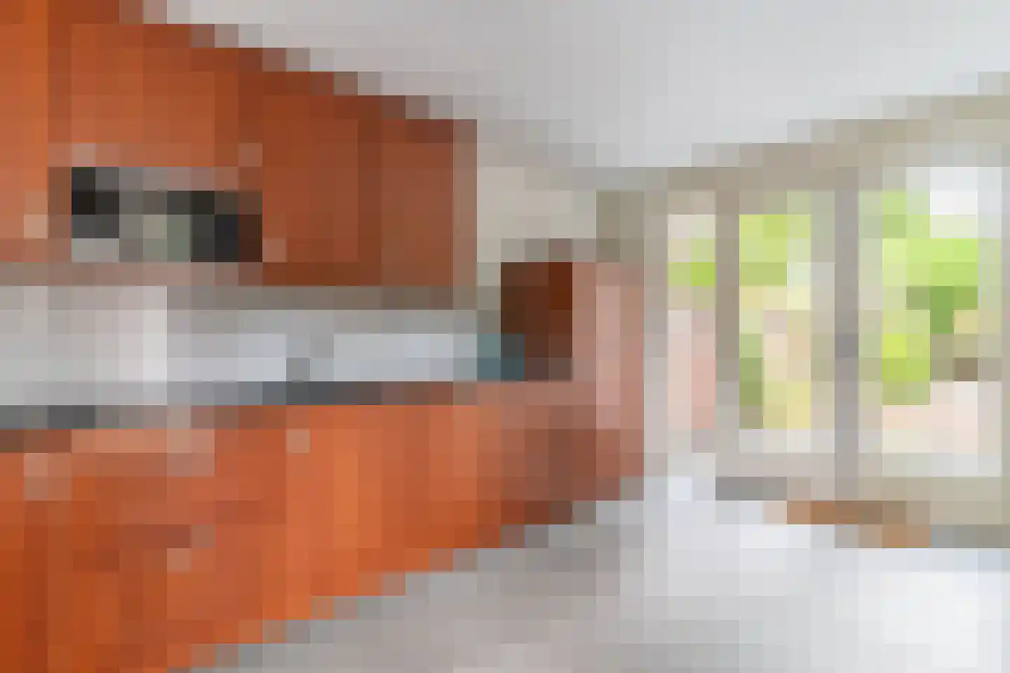 Eperweg 9 Nunspeet thumbnail 38