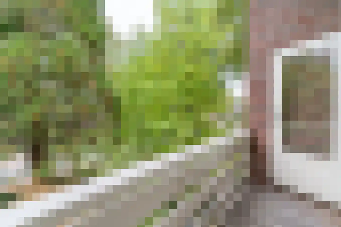 Eperweg 9 Nunspeet thumbnail 47