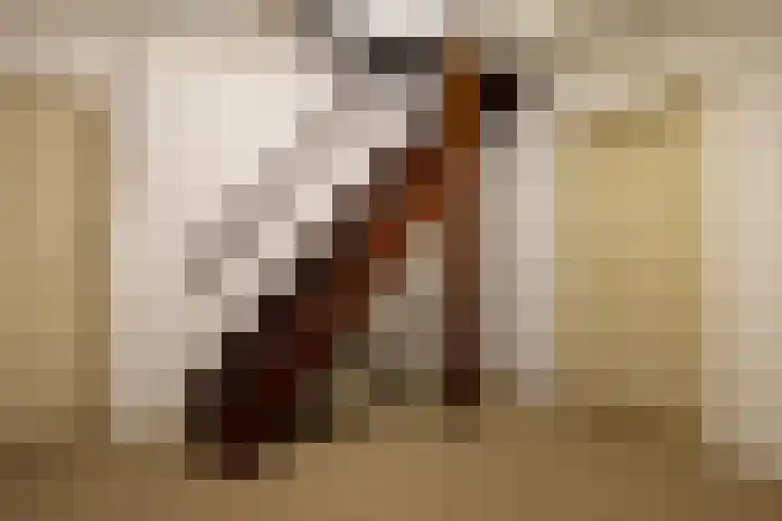 Eperweg 9 Nunspeet thumbnail 47